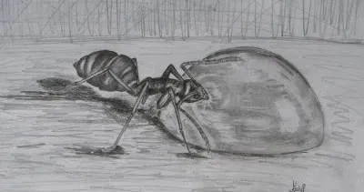 Avatar of insect apocalypse