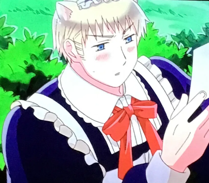 Avatar of Hetalia Omegaverse