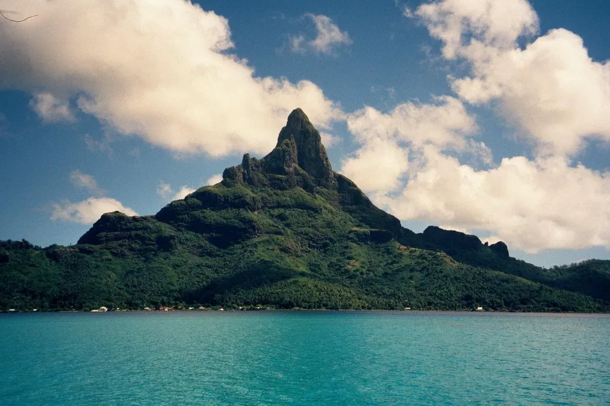 Avatar of Monster Island