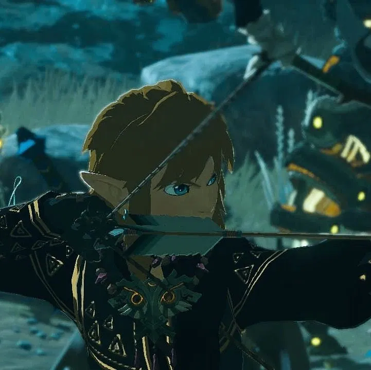 Avatar of ˚｡⋆ Link ⋆｡˚