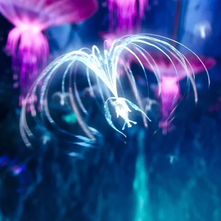 Avatar of Pandora - AVATAR 