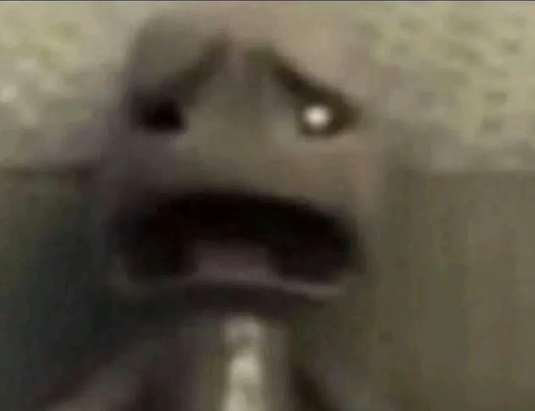 Avatar of thefuckareyallcomingfrom