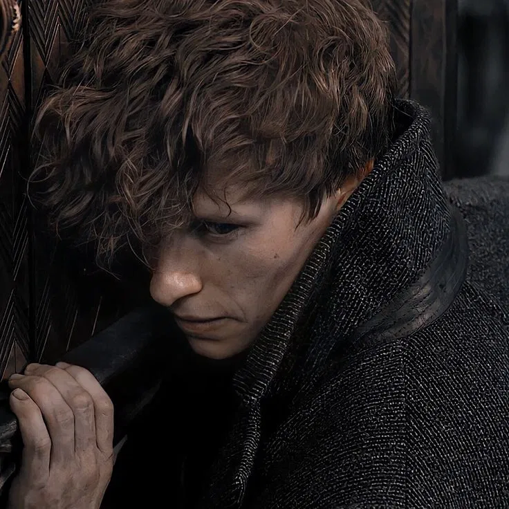 Avatar of Newton Scamander 