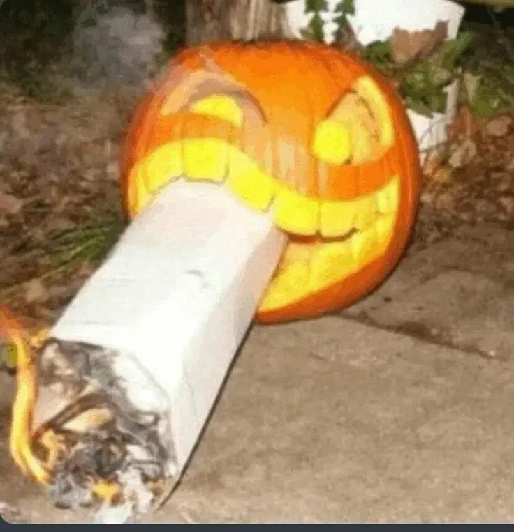 Avatar of Marijuana Pumpkin 🚬🎃