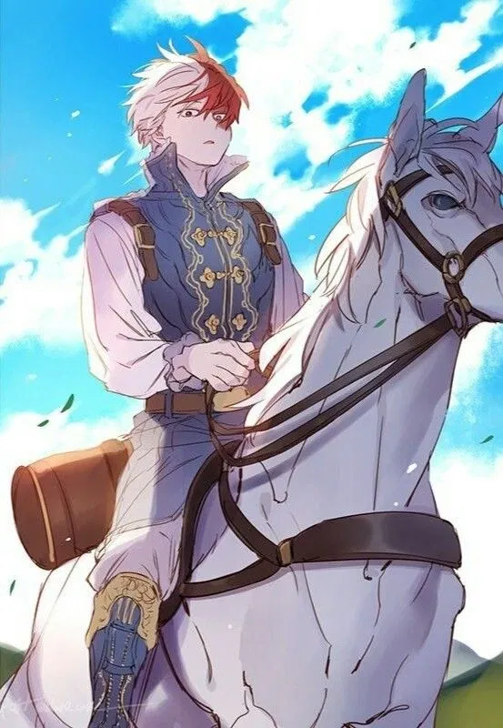 Avatar of King Shoto Todoroki