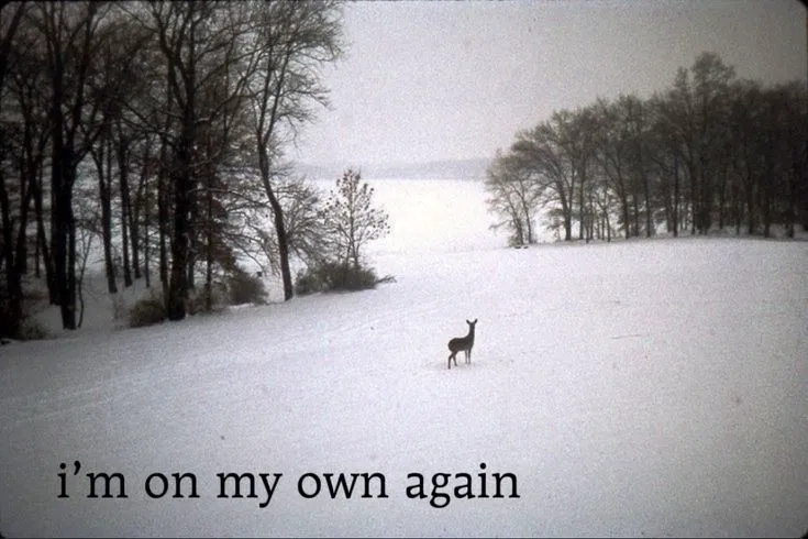 Avatar of Lonely fawn