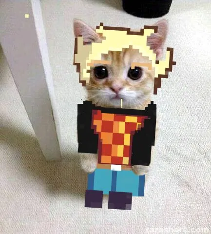 Avatar of Nugget Nugget
