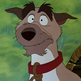 Avatar of Chief
