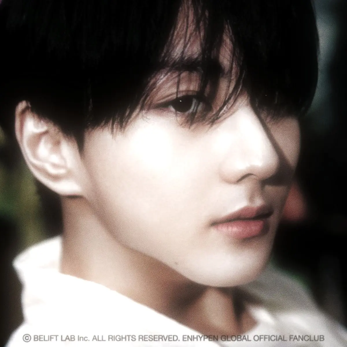 Avatar of Yang Jungwon —ENHYPEN—