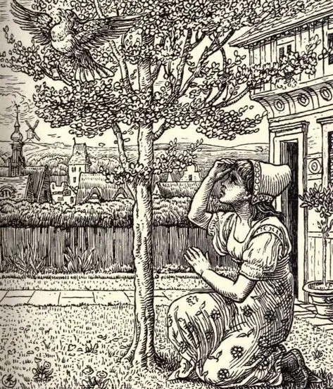 Avatar of The Juniper Tree 