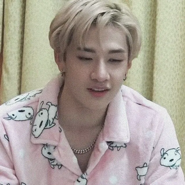 Avatar of Bang Chan