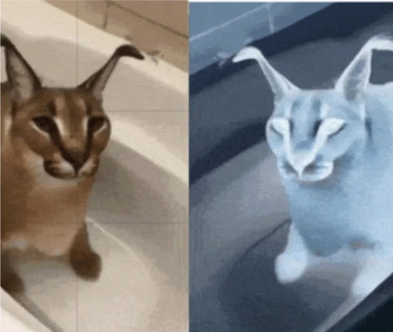 Avatar of Caracal78 and Laraca87 yaoi makeout ses