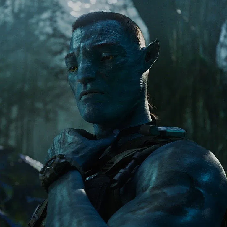 Avatar of Miles Quaritch RECOM