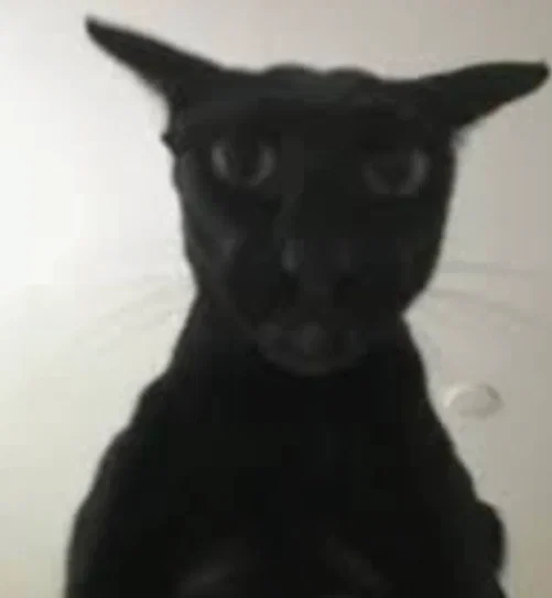 Avatar of Kar'mor son of Kol'tor