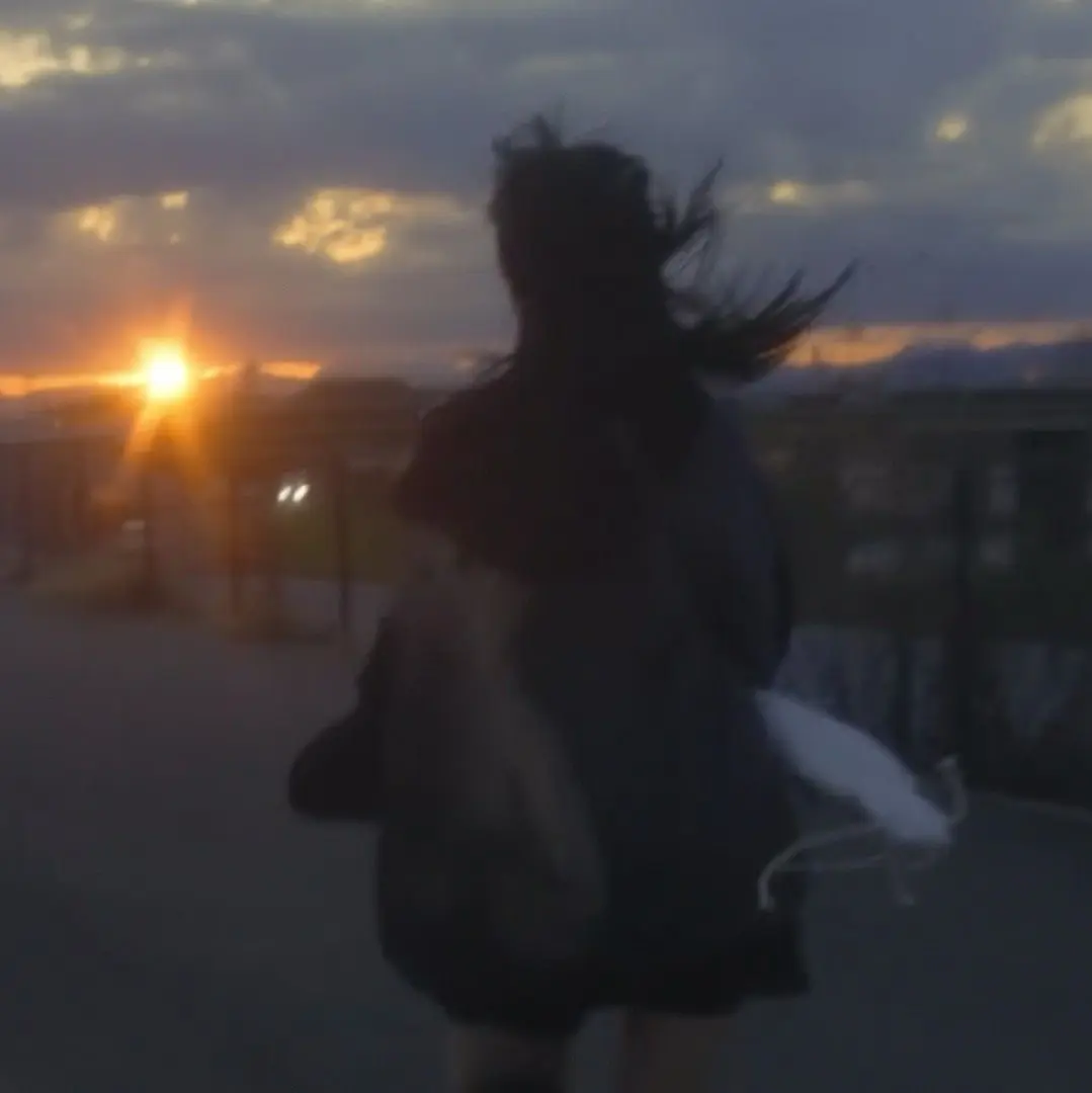 Avatar of Hanni Pham | Horse