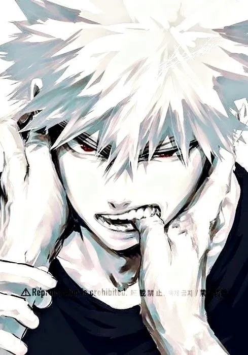 Avatar of Katsuki Bakugo 