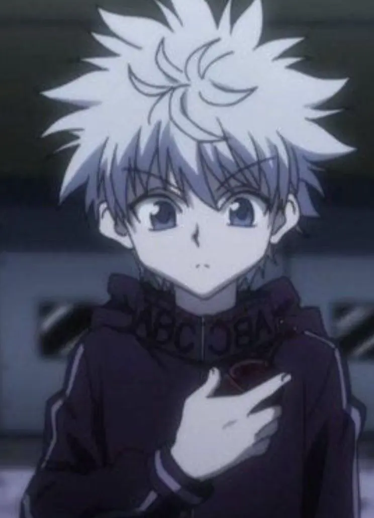 Avatar of Killua Zoldyck 