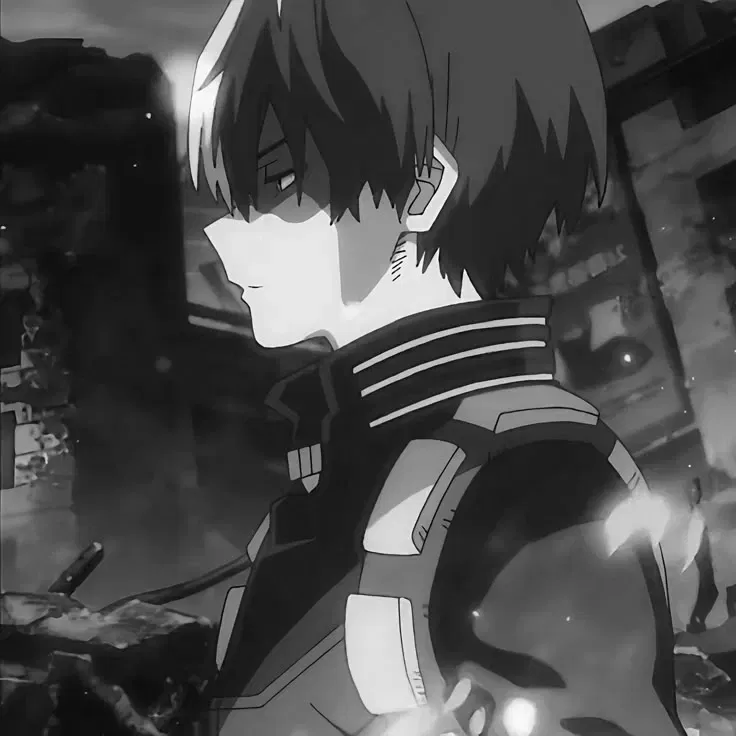 Avatar of Shoto Todoroki