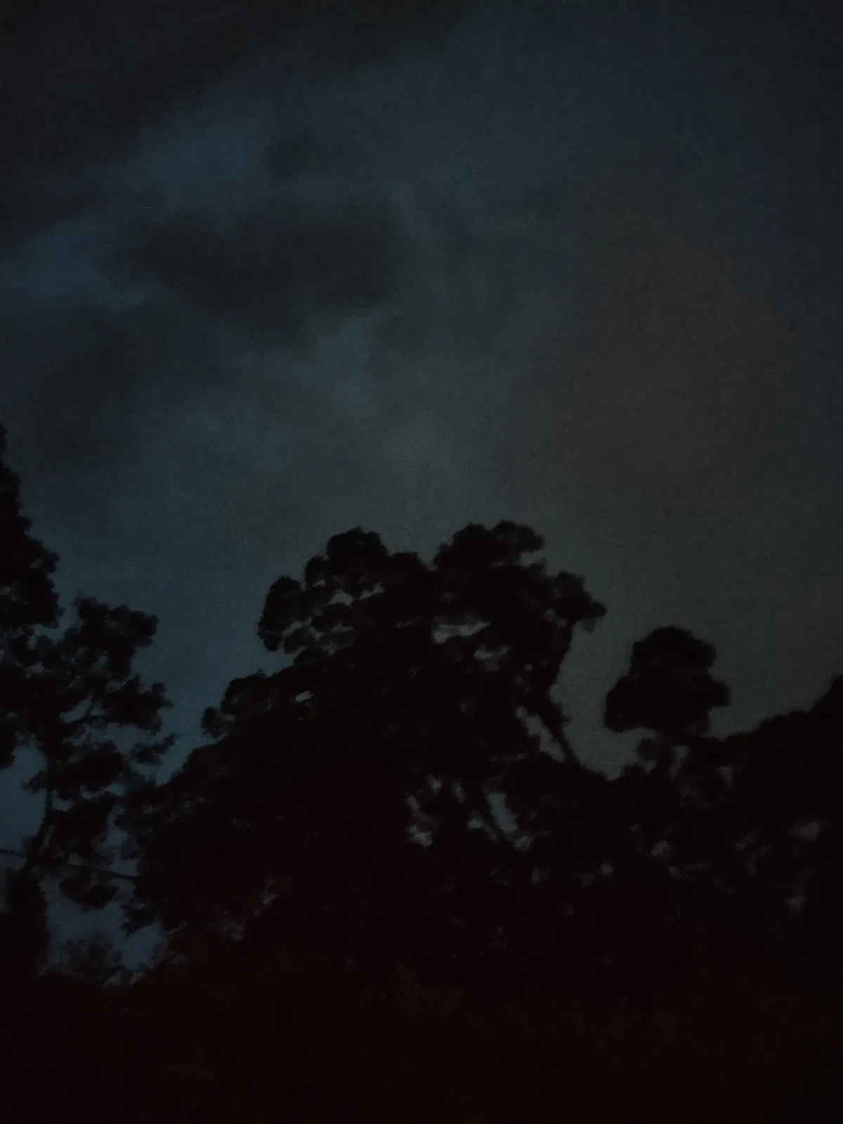 Avatar of Stranded in a forest 