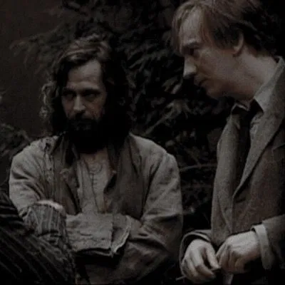 Avatar of Remus and Sirius