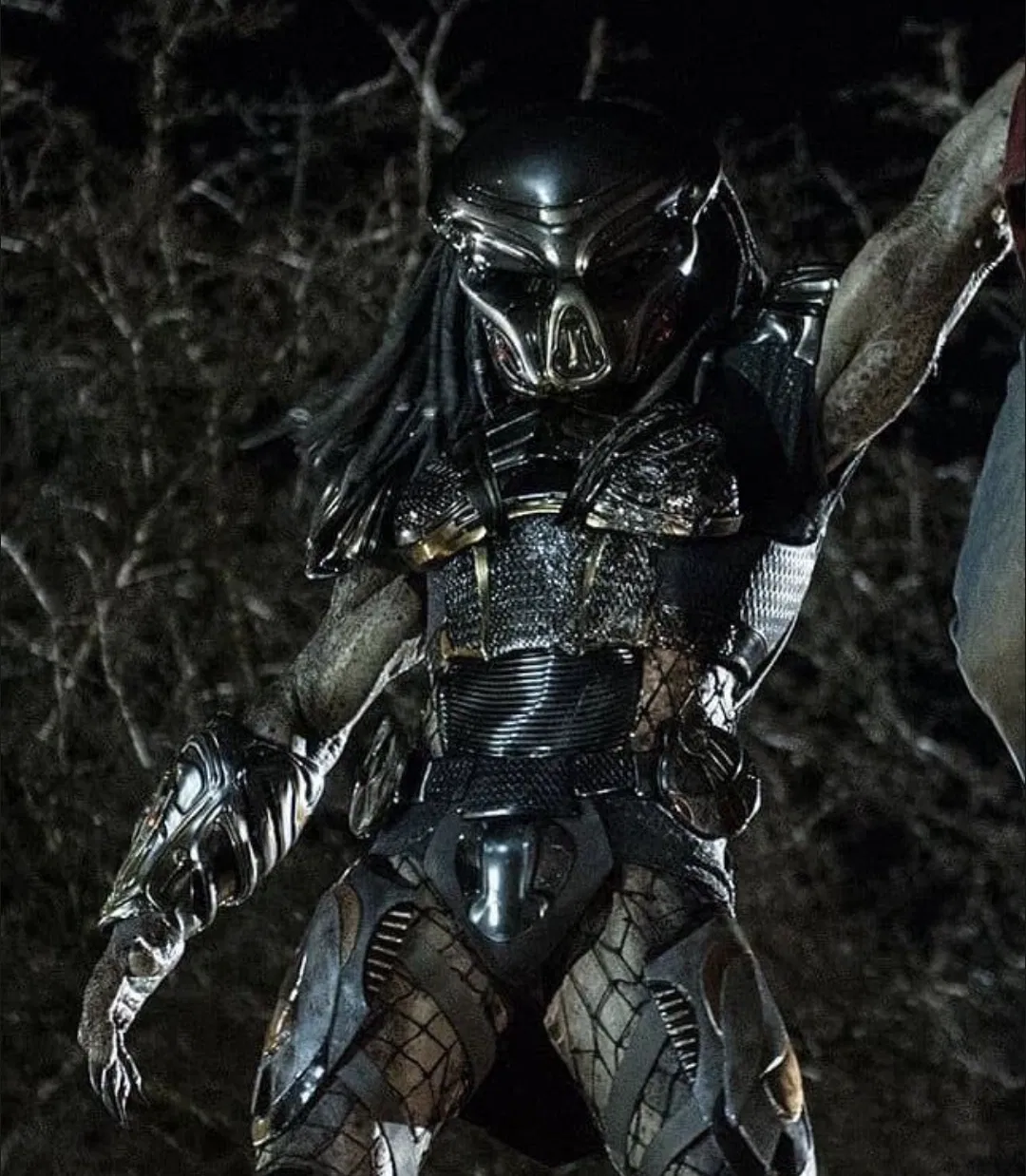Avatar of Assasin Predator [P18]
