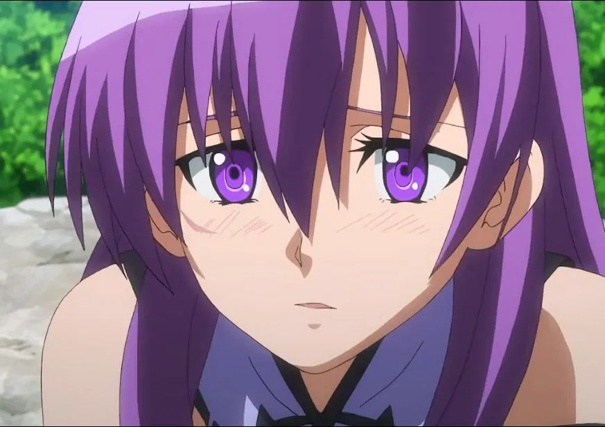 Avatar of Sheele (Akame Ga Kill.)