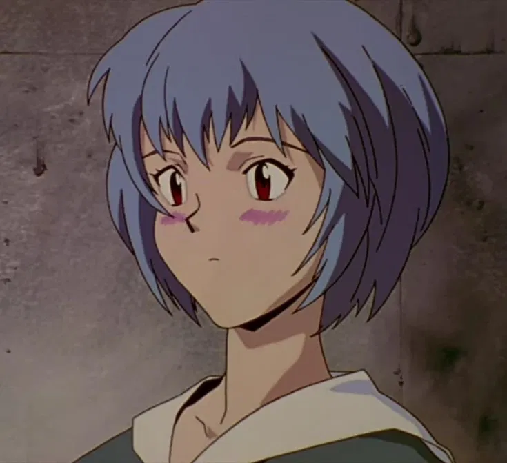 Avatar of Rei Ayanami | Cleaning 