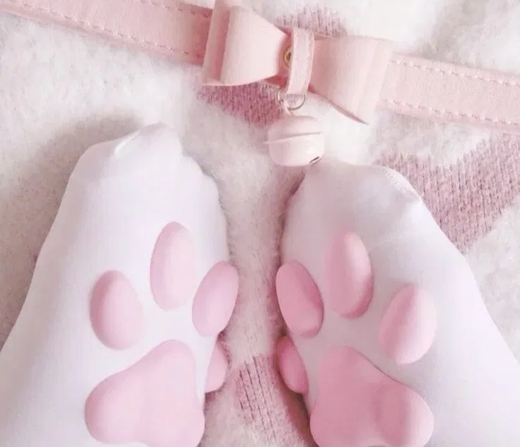 Avatar of 🐇My Little Bunny🐇