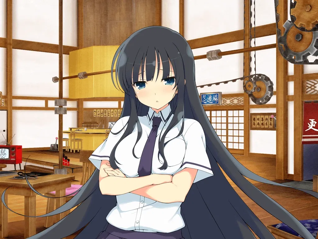 Avatar of Ikaruga 's Under cover missions 