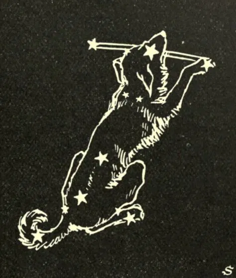 Avatar of Sirius Black