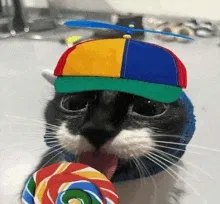Avatar of happey new years