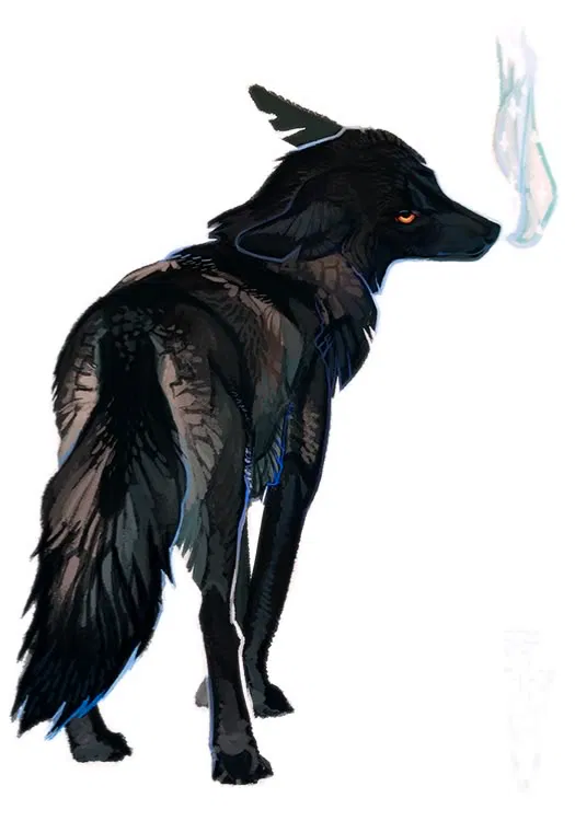 Avatar of Sean || The Wolf