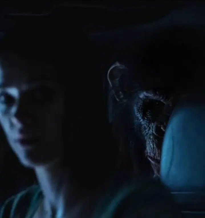 Avatar of Primate