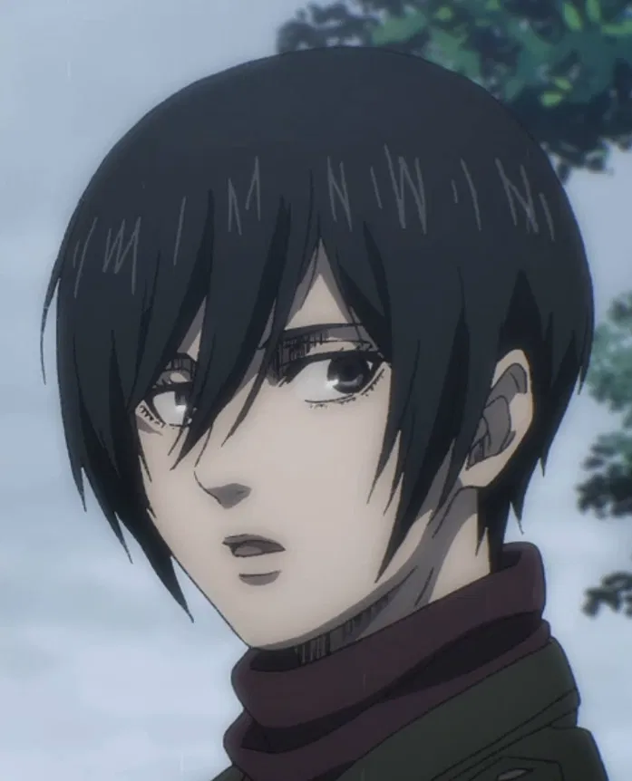 Avatar of Mikasa Ackerman