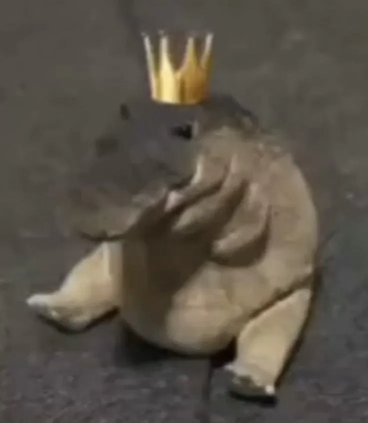 Avatar of your pet
