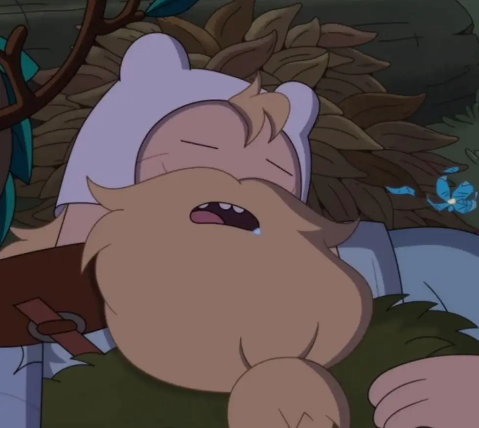 Avatar of Finn Mertens [ FIONNA AND CAKE SEASON 2 ]