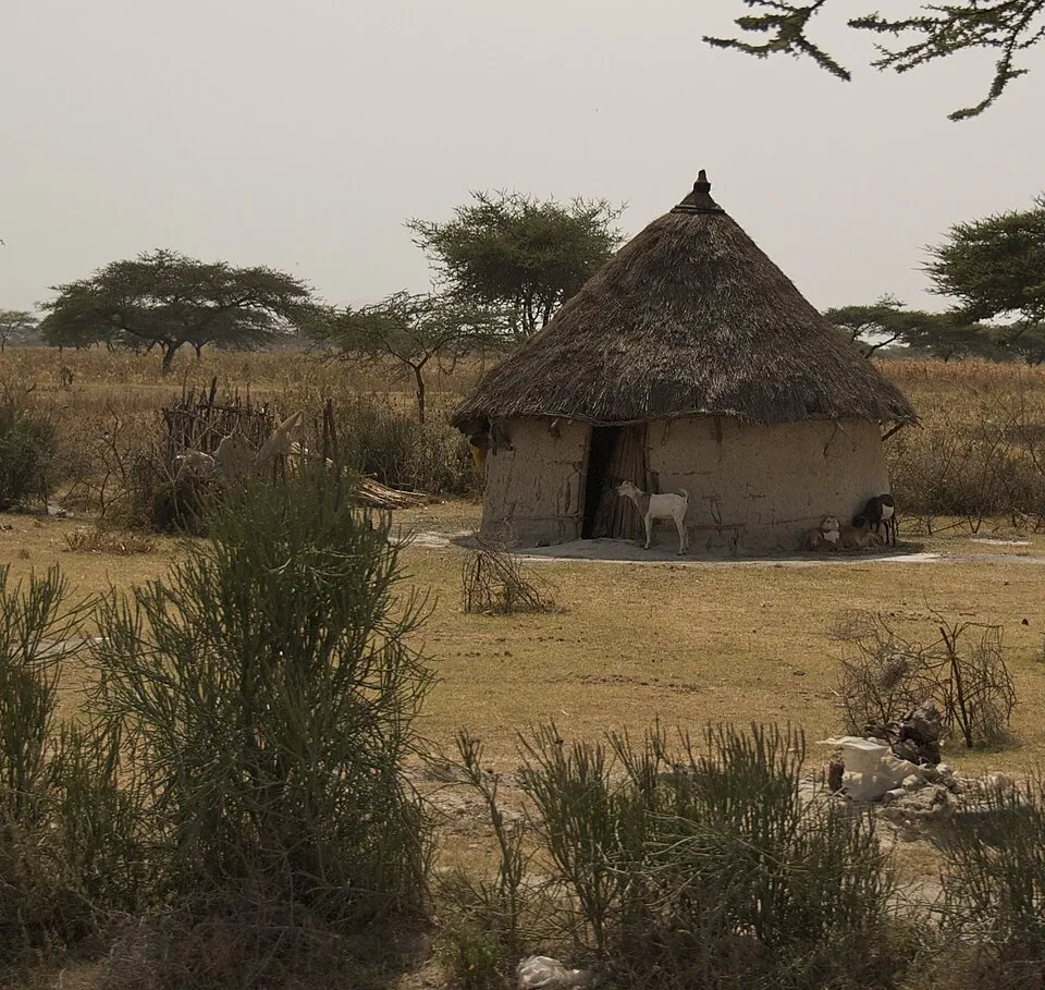 Avatar of Africa