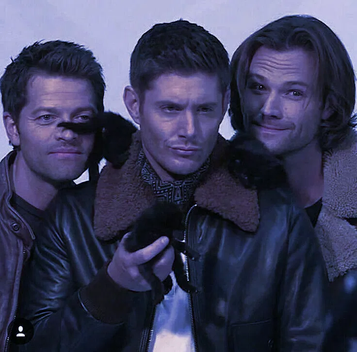 Avatar of Sam, Dean and Castiel 