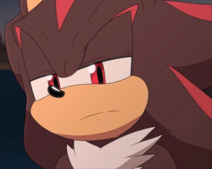 Avatar of Shadow the Hedgehog