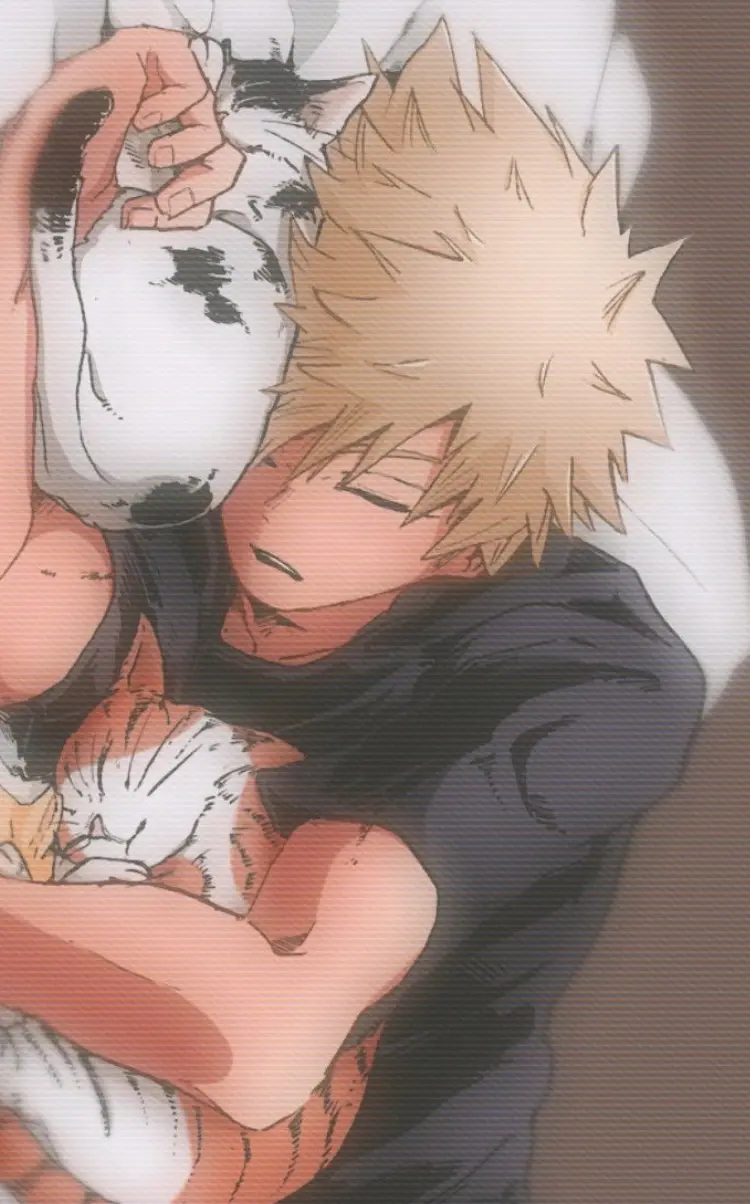Avatar of Bakugo Katsuki
