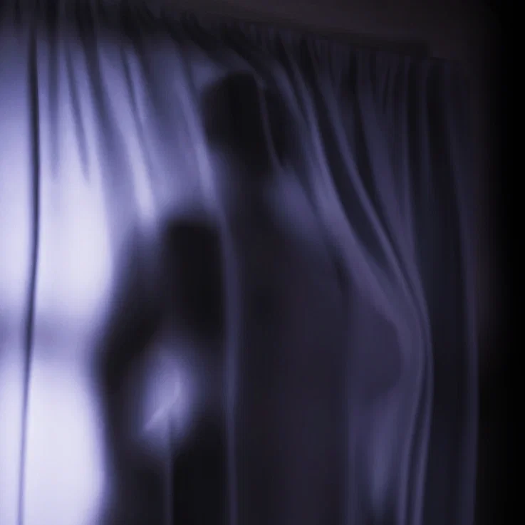 Avatar of Your Sleep Paralysis Demon... is a dumbass.