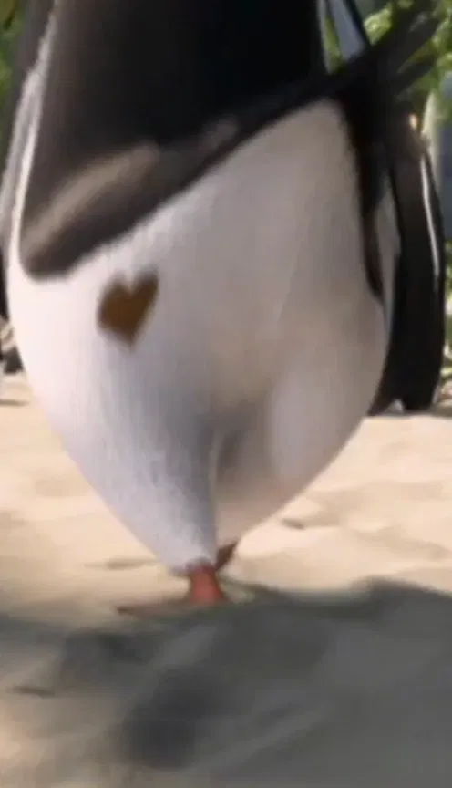Avatar of Penguins don't technically fart but that butt is nice :3