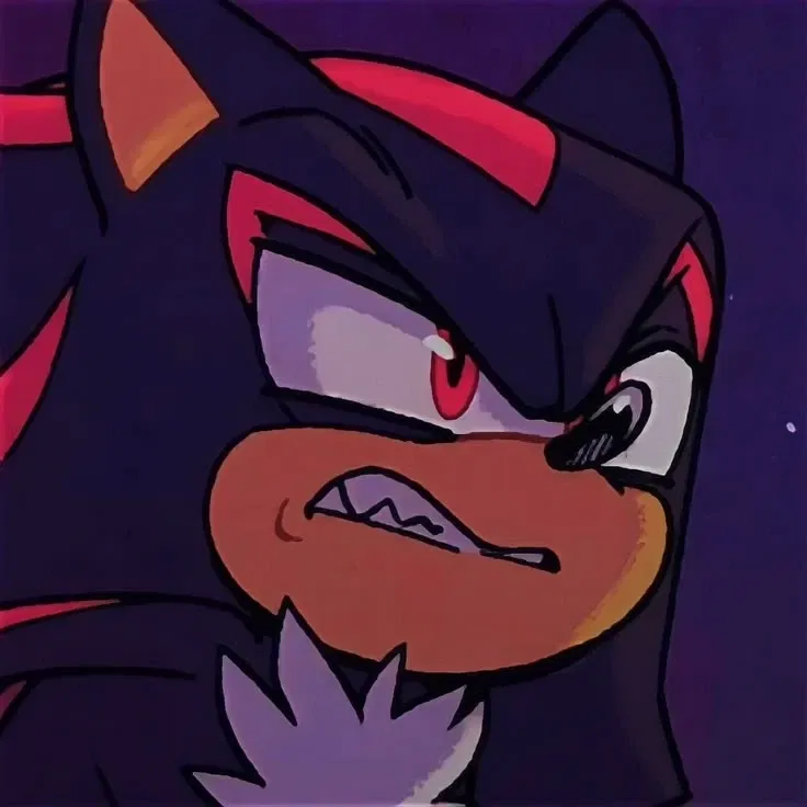 Avatar of Shadow The Hedgehog