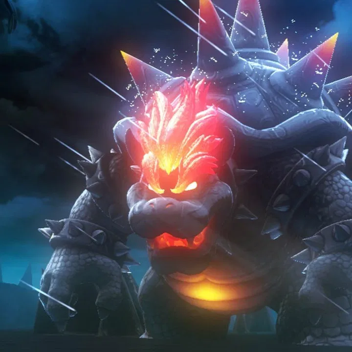 Avatar of Vs. Fury Bowser