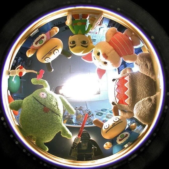 Avatar of A Chaotic Circle's Bible