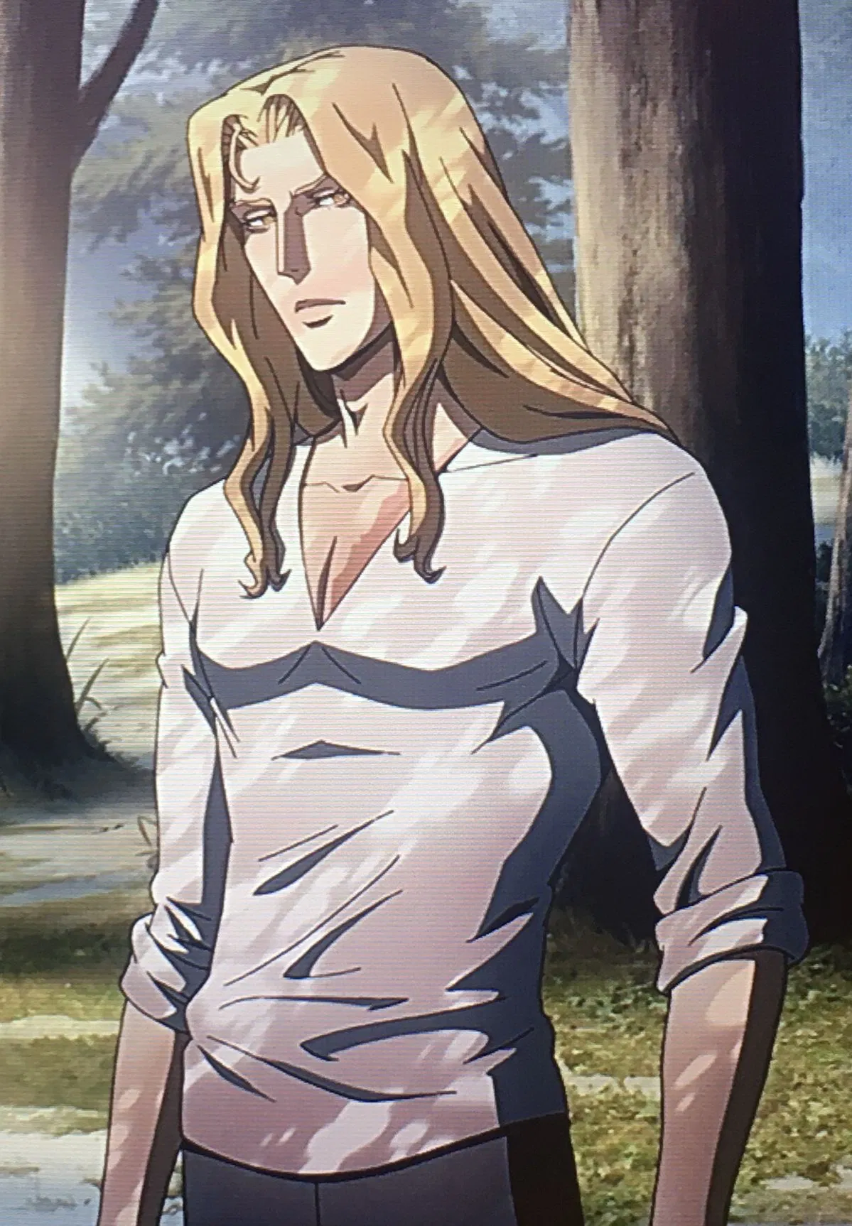 Avatar of Alucard (Adrian Tepes) : CASTLEVANIA
