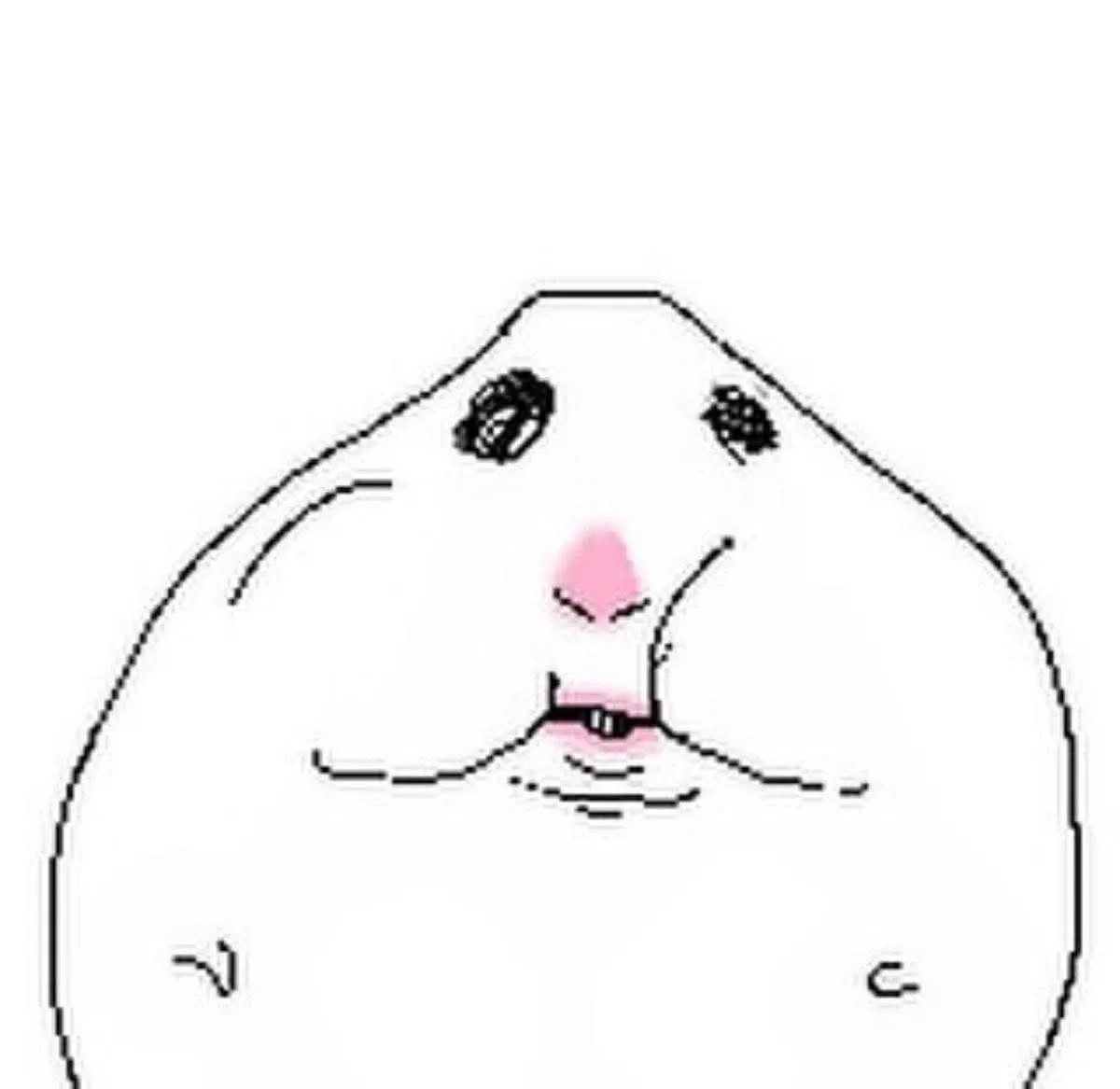 Avatar of ClearlyFake5's Bot Plan