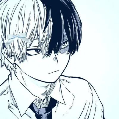 Avatar of Shoto Todoroki