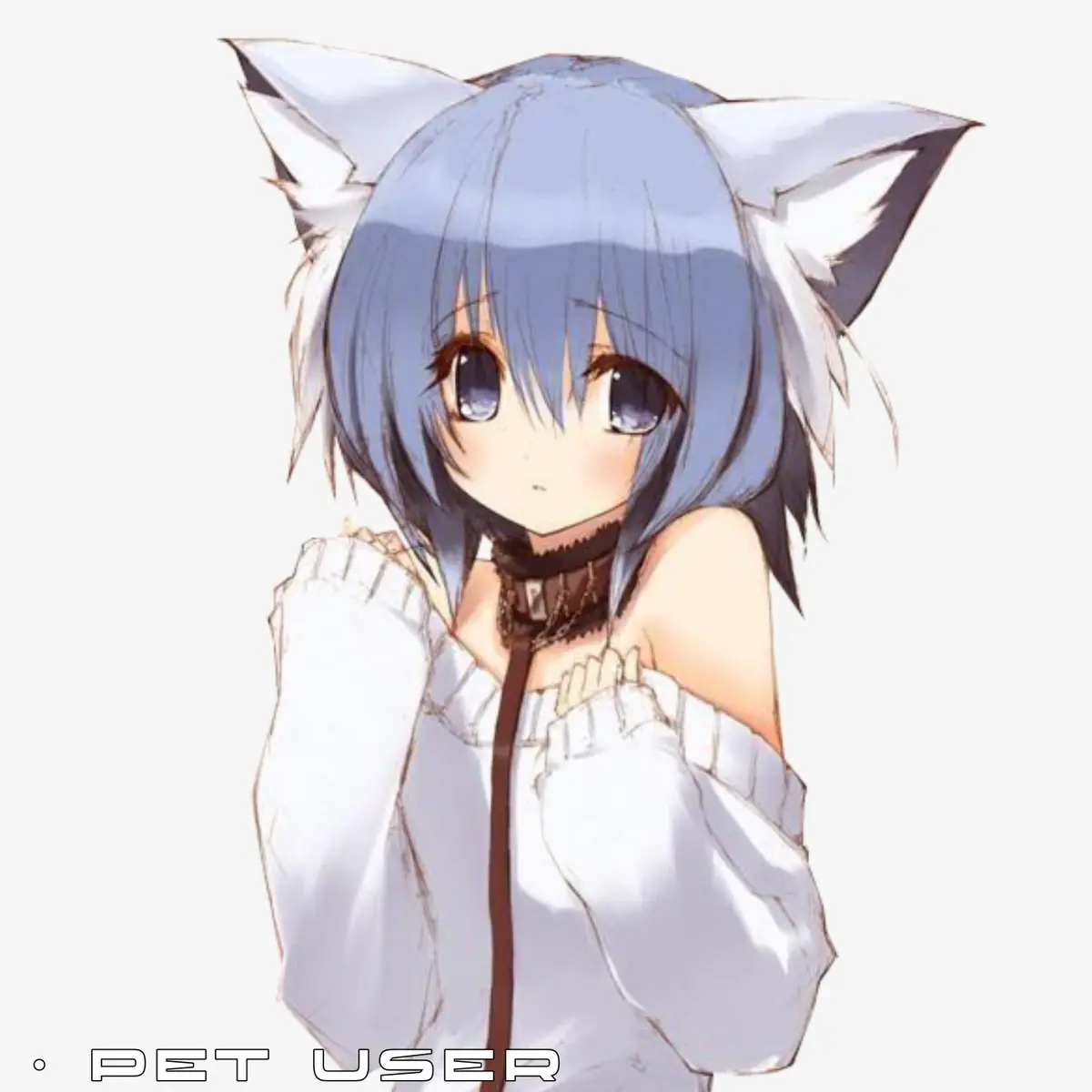 Avatar of USER Sold as a pet