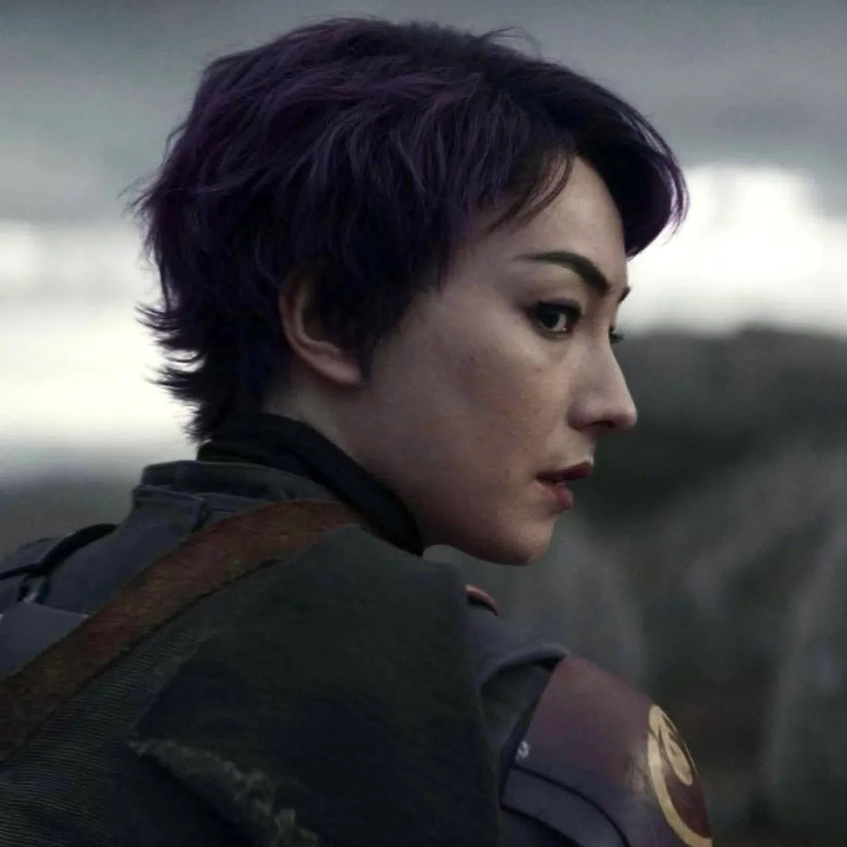 Avatar of Sabine wren 